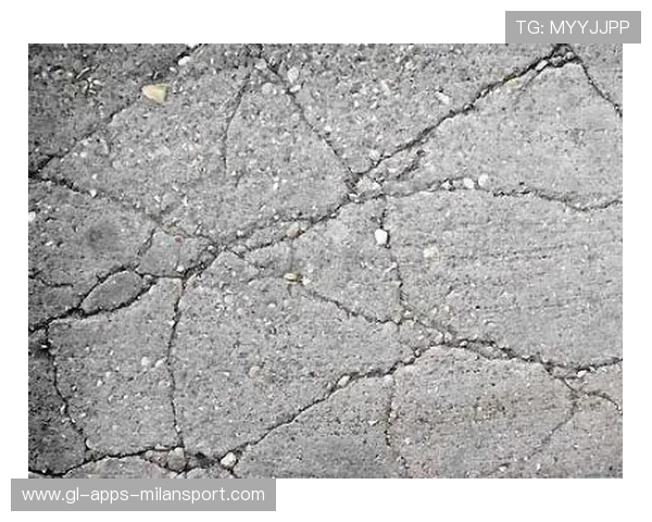 亚特兰大纵深渗透制造多处裂缝