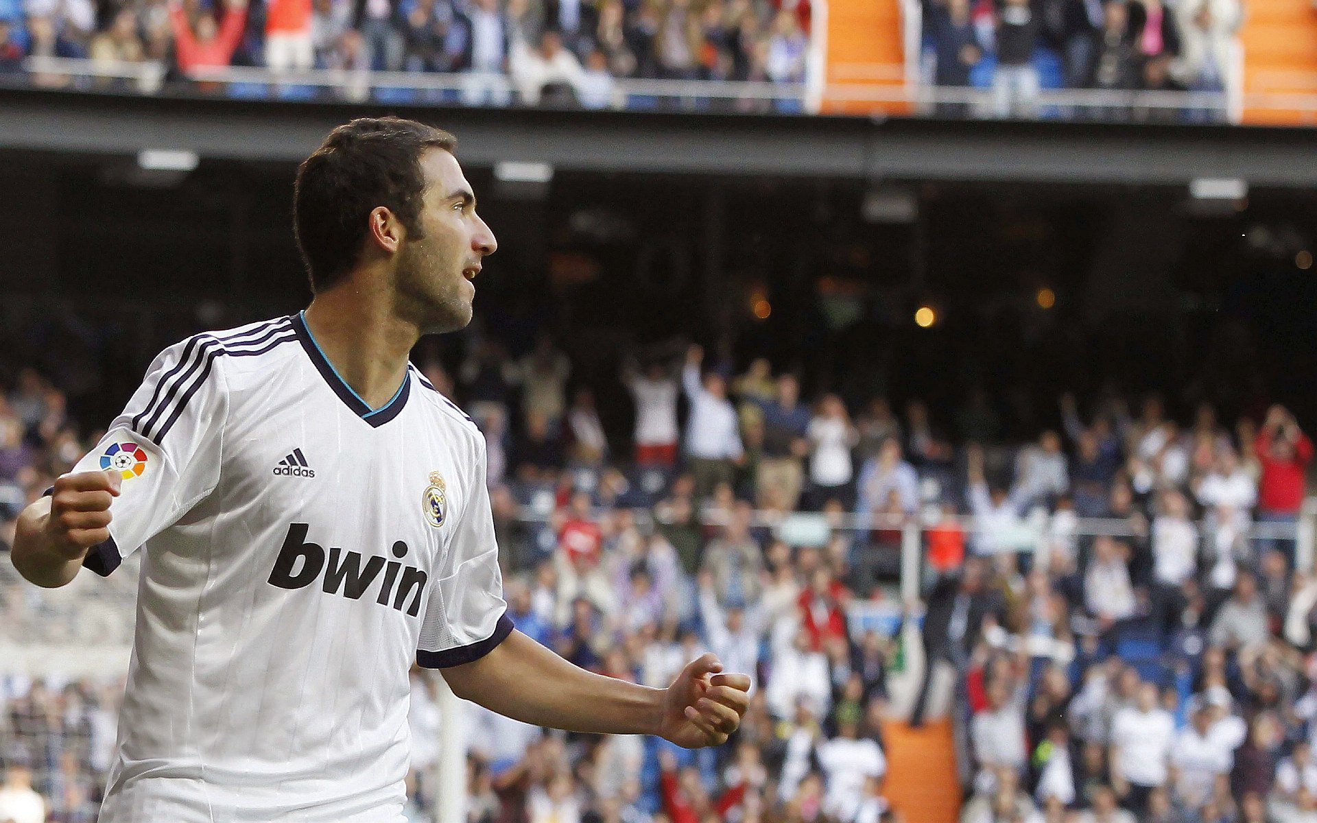 “南非羚羊队的关键球员：埃尔斯·霍斯特助力未来辉煌”