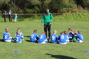 新加坡队在国际乒联混合团体世界杯的战术执行力与技术突破，乒乓 新加坡